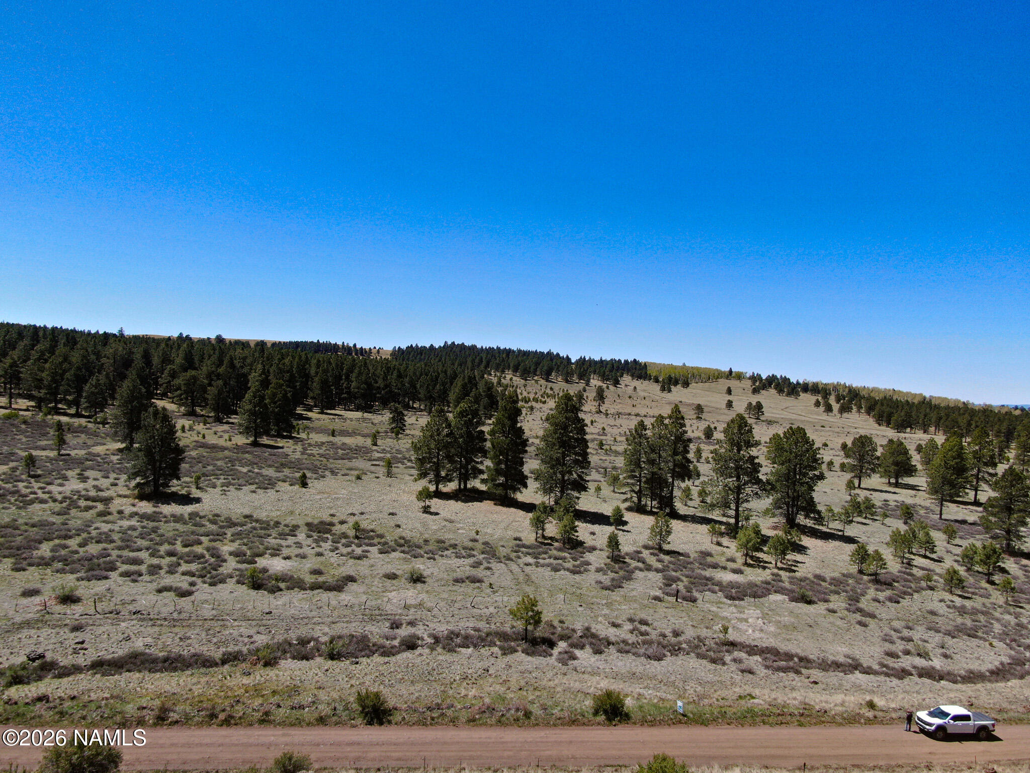 1 Hart Prairie Road Flagstaff, AZ 86001 - Photo 7 of 25 a view of a dry yard with trees