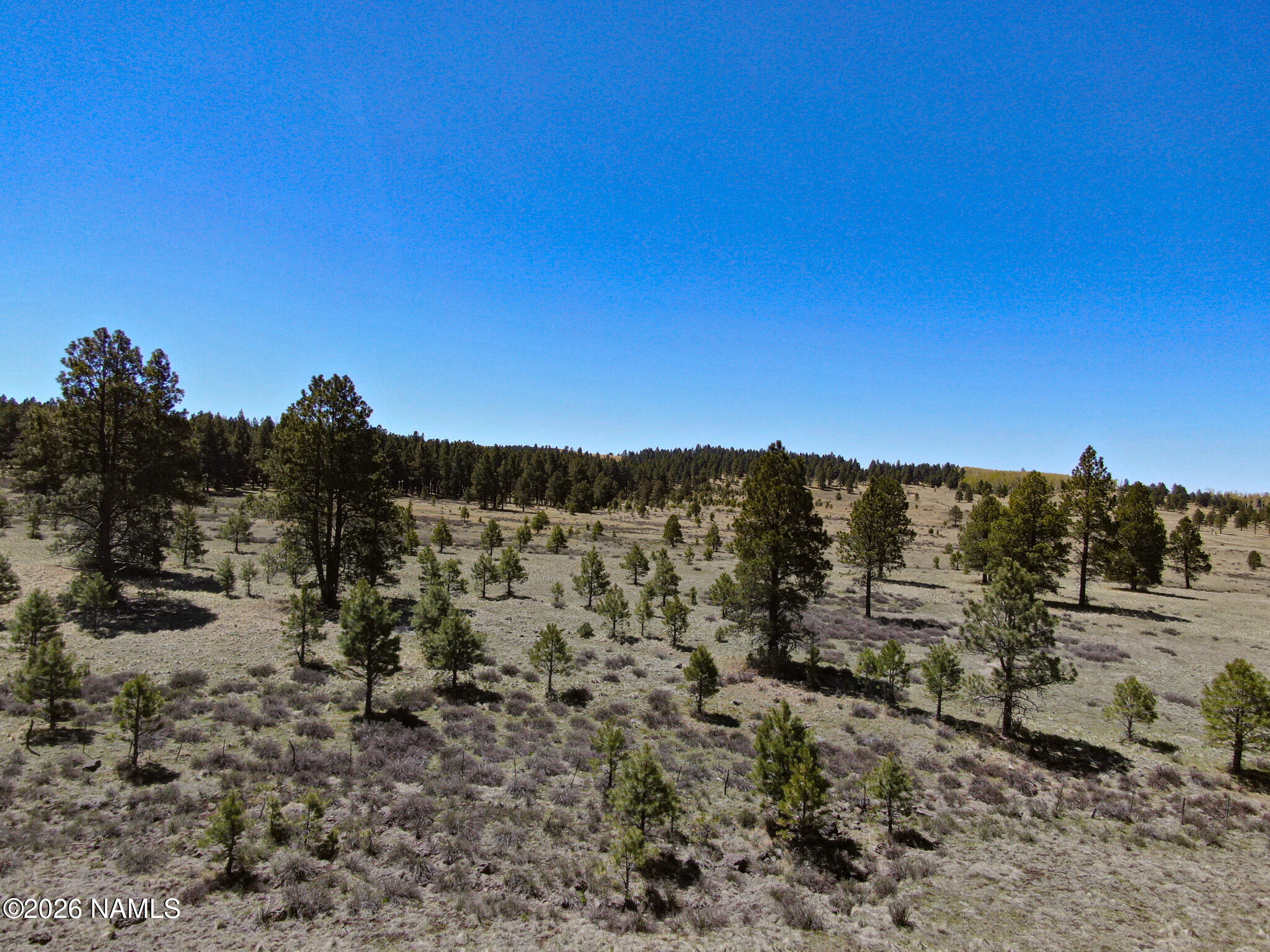 1 Hart Prairie Road Flagstaff, AZ 86001 - Photo 9 of 25 DJI_0220