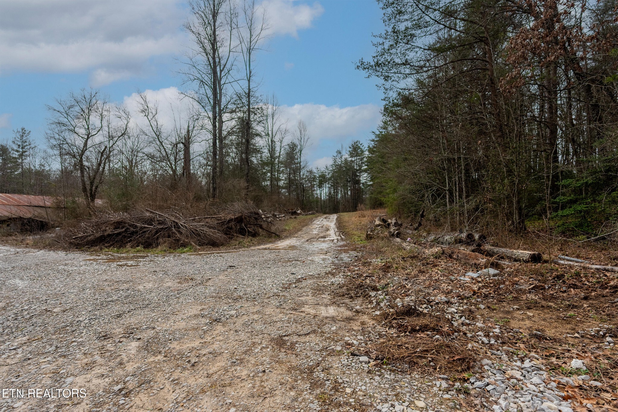 1567 Twin Bridge Road Deer Lodge, TN 37726 - Photo 26 of 26 Gallery Image 26