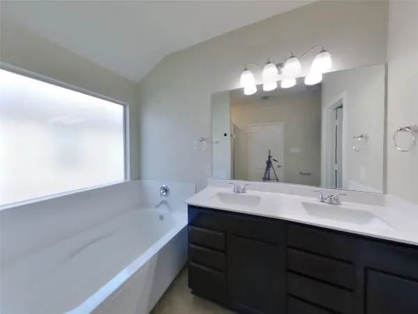 a bathroom with a sink vanity tub and a mirror