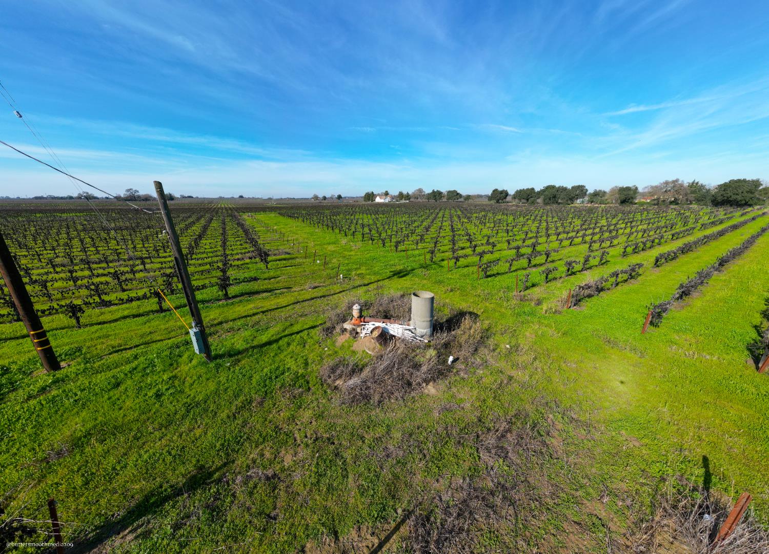 2491 West Peltier Road Lodi, CA 95242 - Photo 21 of 23