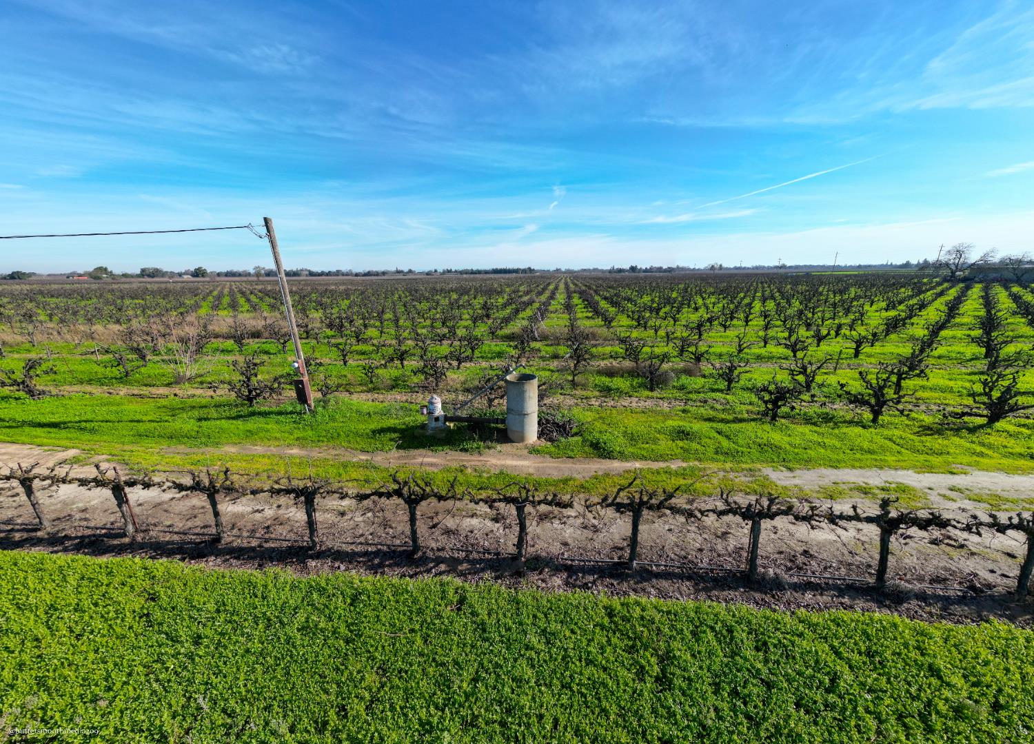 2491 West Peltier Road Lodi, CA 95242 - Photo 22 of 23