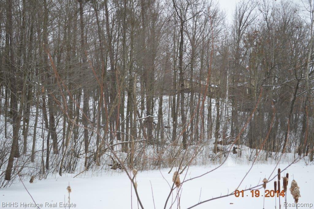0 Murray Hill Road Hartland, MI 48353 - Photo 3 of 7 27381.jpg