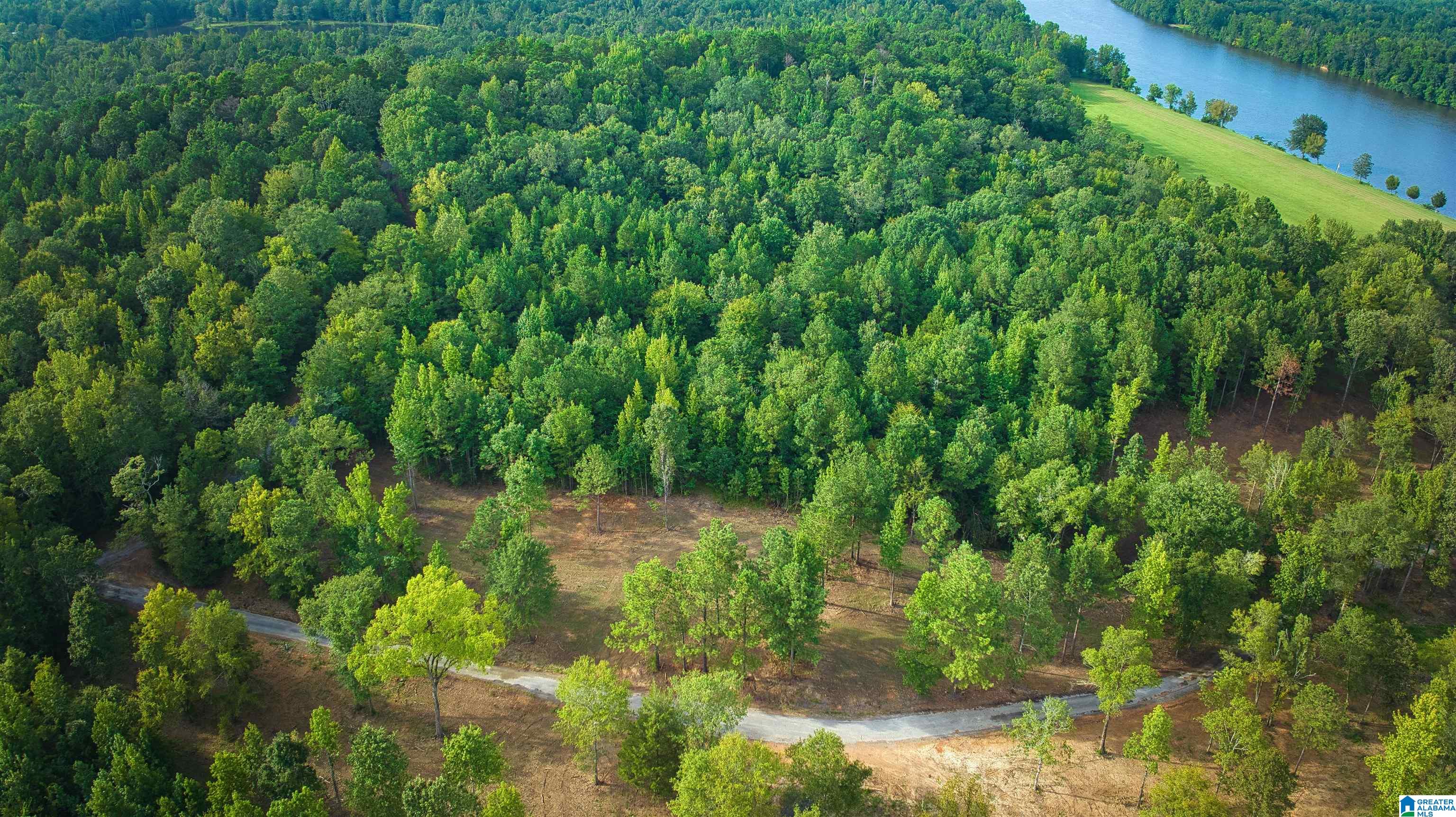 Lot 20 Wester Road, Unit LOT 20 Ragland, AL 35131 - Photo 64 of 68