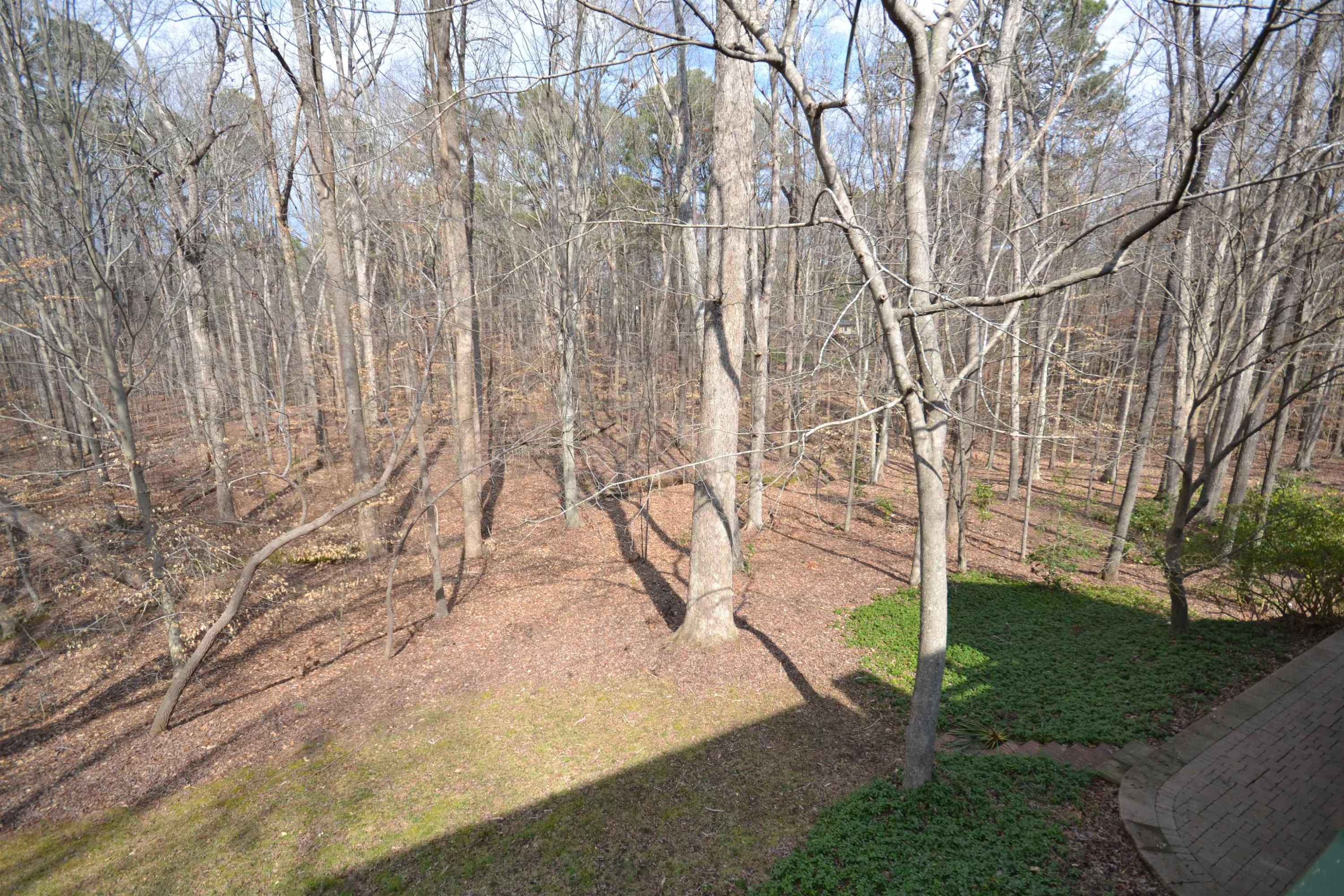 10601 Winding Wood Trail Raleigh, NC 27613 - Photo 59 of 64 Photo 59