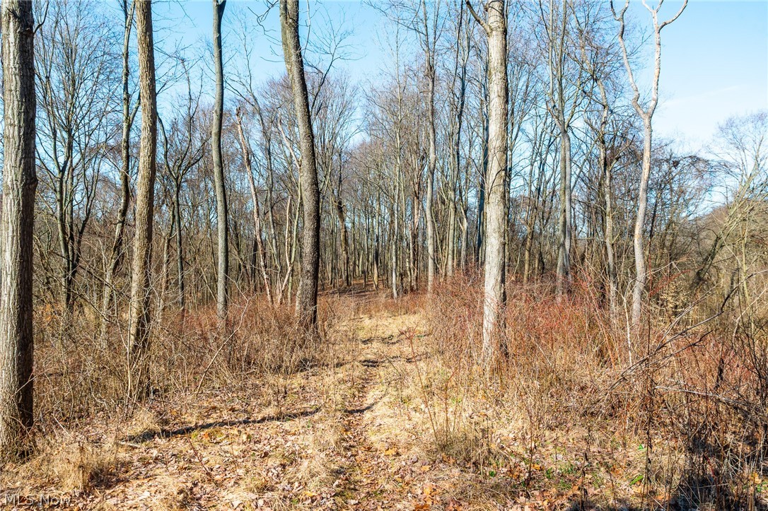 2535 Millersburg Road Wooster, OH 44691 - Photo 25 of 46 View of nature