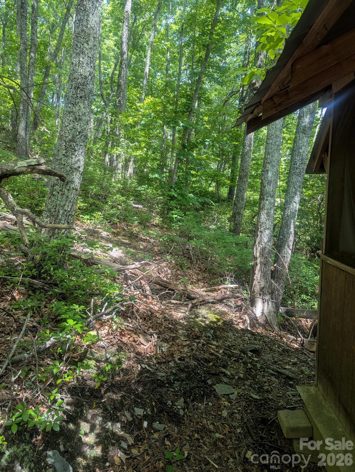 1662 Penley Road Boone, NC 28645 - Photo 9 of 23 a view of outdoor space and trees