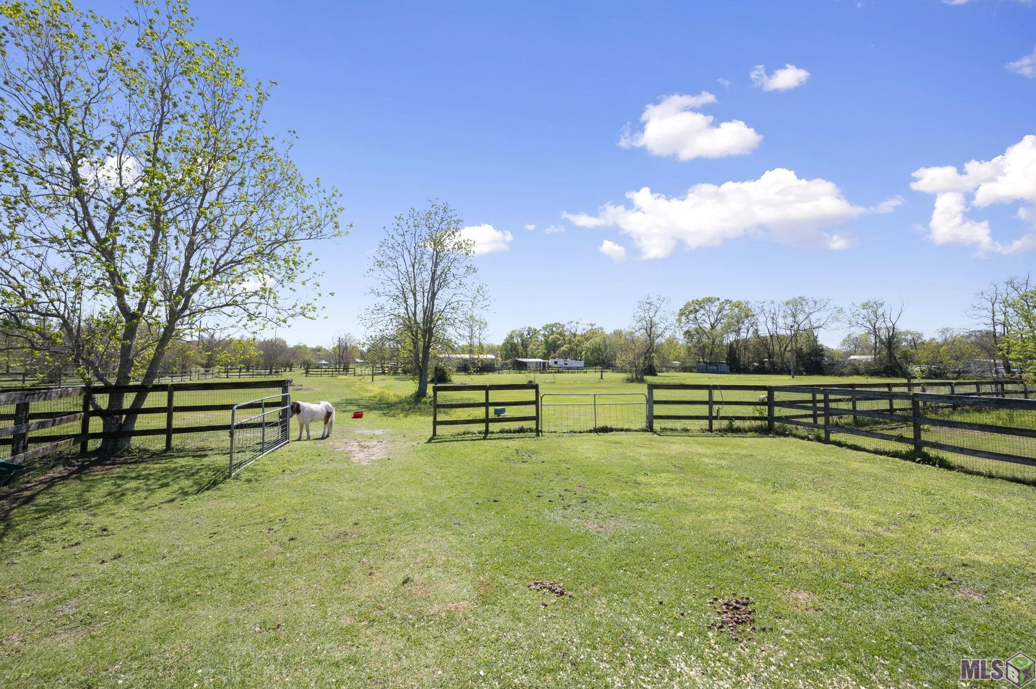 41082 Millie Road Gonzales, LA 70737 - Photo 35 of 45 Gallery Image 35