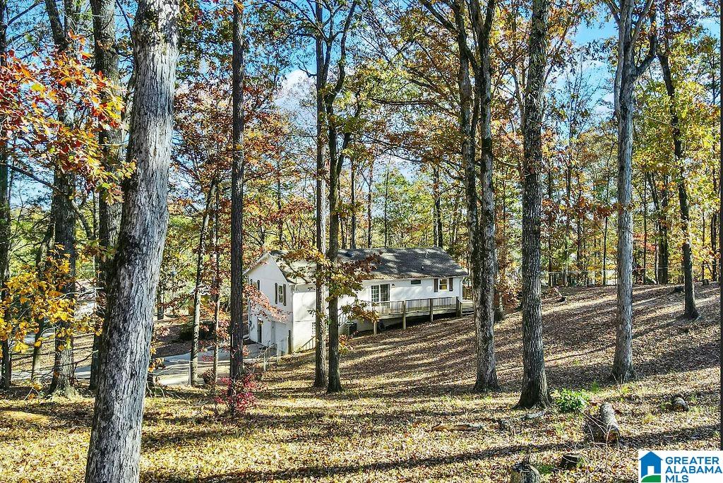 1226 Dunham Lane Helena, AL 35080 - Photo 54 of 62