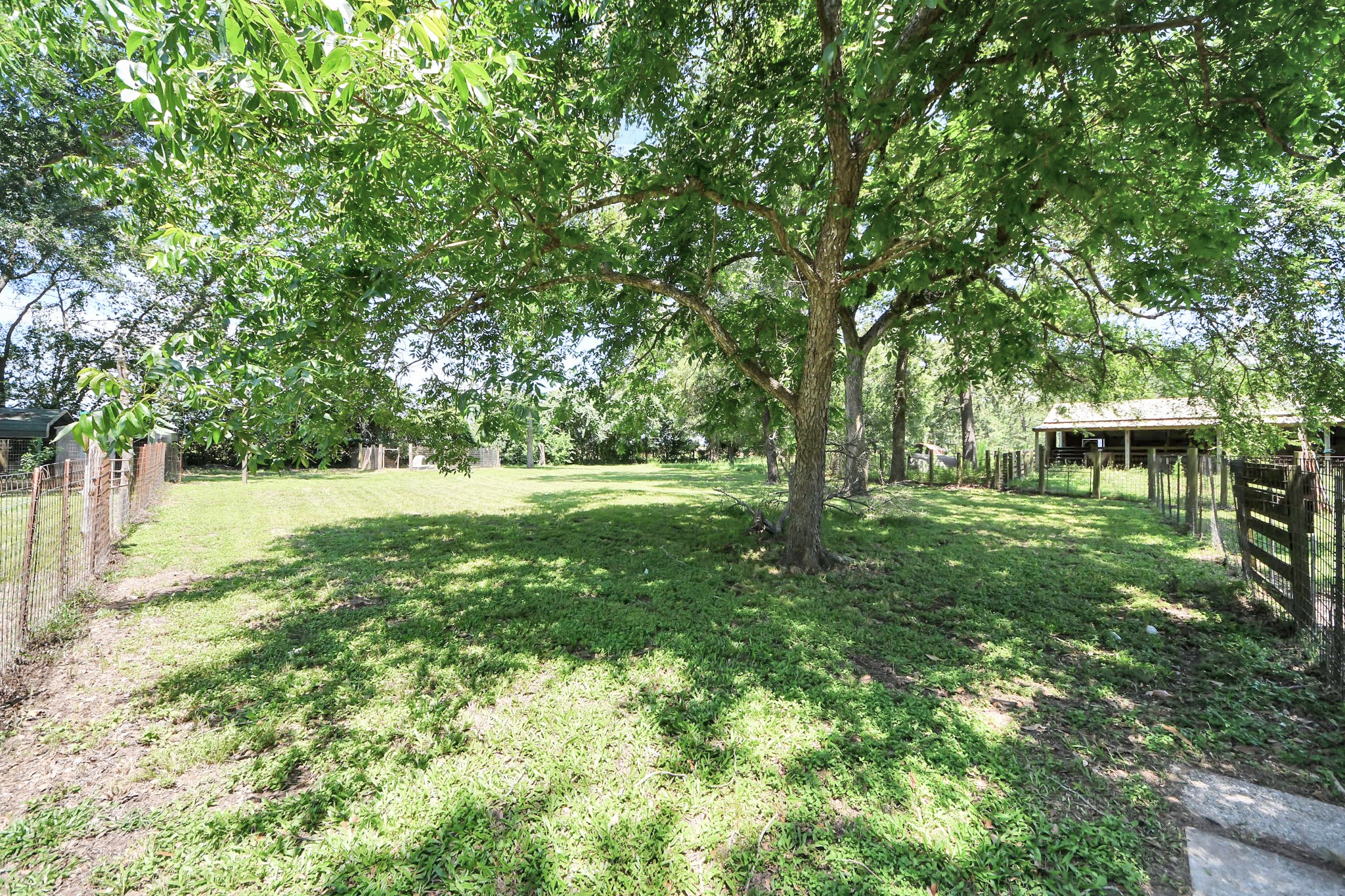 28222 Margerstadt Road Waller, TX 77484 - Photo 40 of 50 Wide open spaces and mature trees create a peaceful rural retreat with room to roam.