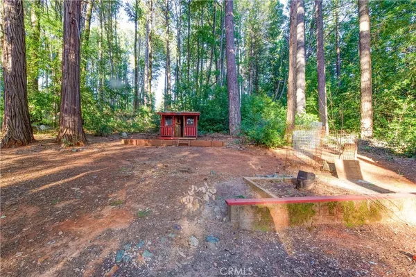 a backyard of a house with yard and trampoline
