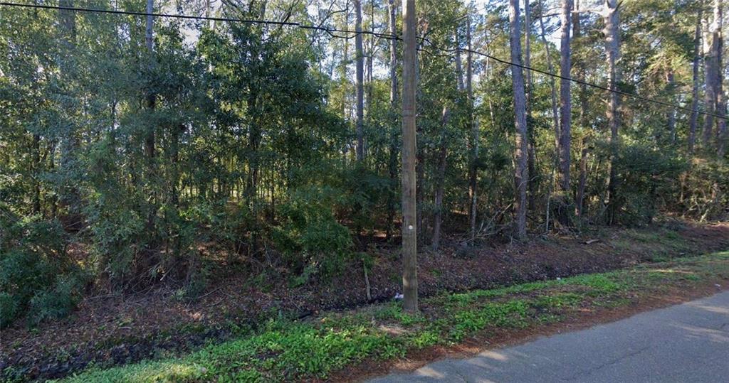 0 Pardo Road Tickfaw, LA 70466 - Photo 1 of 6 Gallery Image 1
