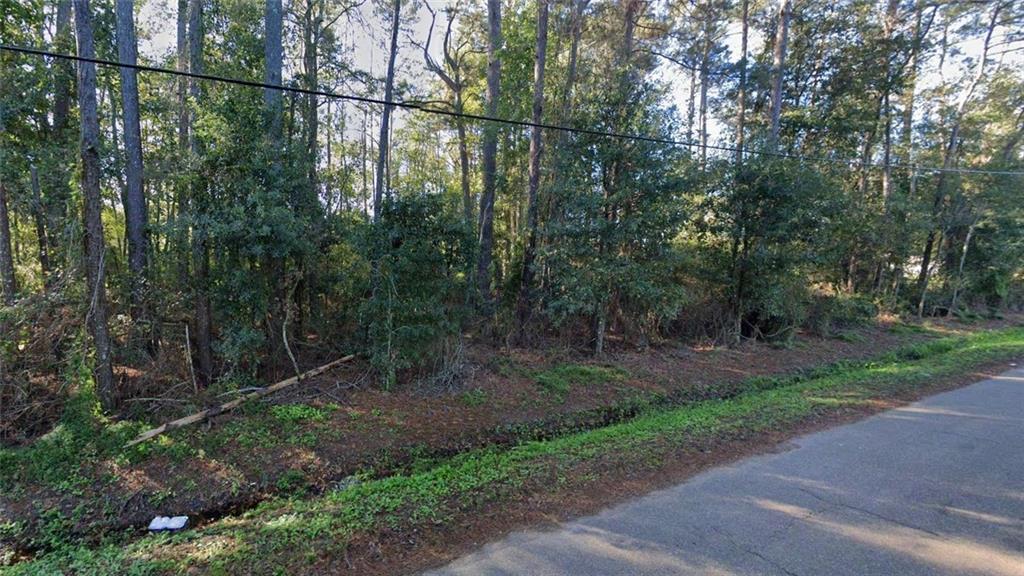 0 Pardo Road Tickfaw, LA 70466 - Photo 2 of 6 Gallery Image 2