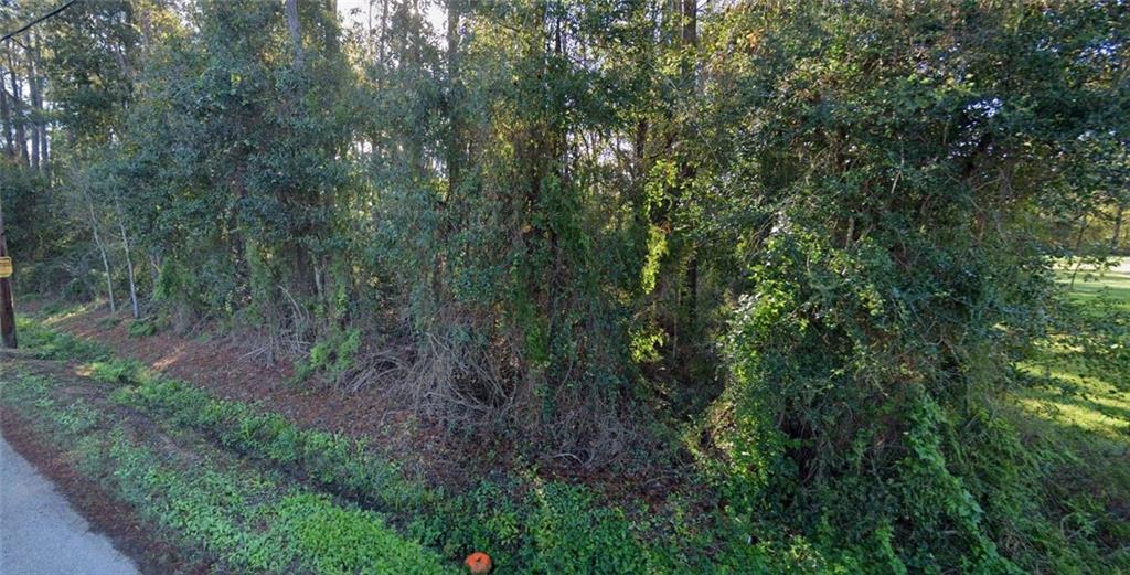 0 Pardo Road Tickfaw, LA 70466 - Photo 3 of 6 Gallery Image 3
