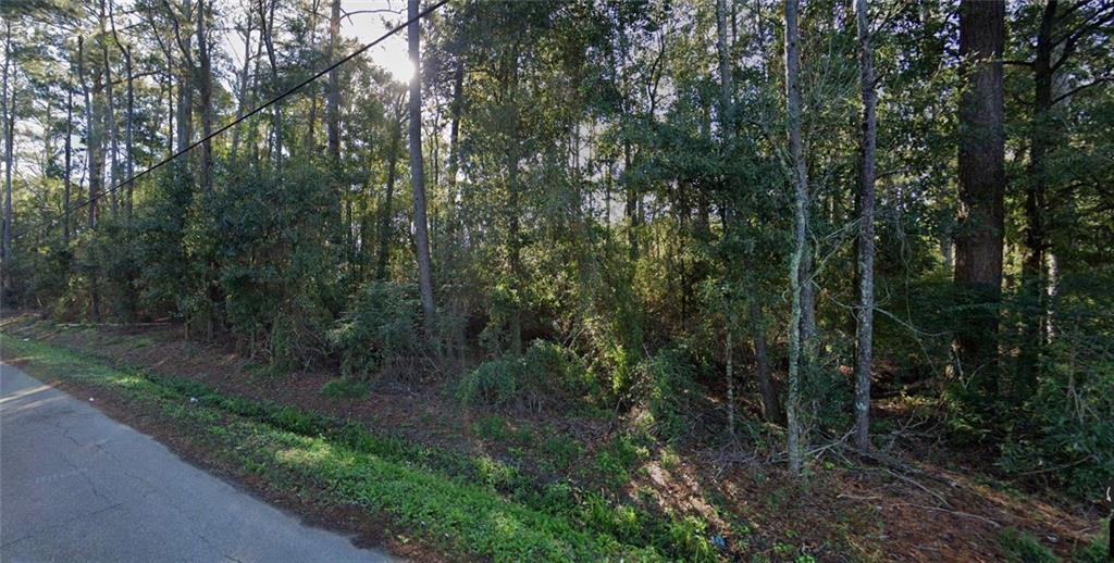 0 Pardo Road Tickfaw, LA 70466 - Photo 4 of 6 Gallery Image 4