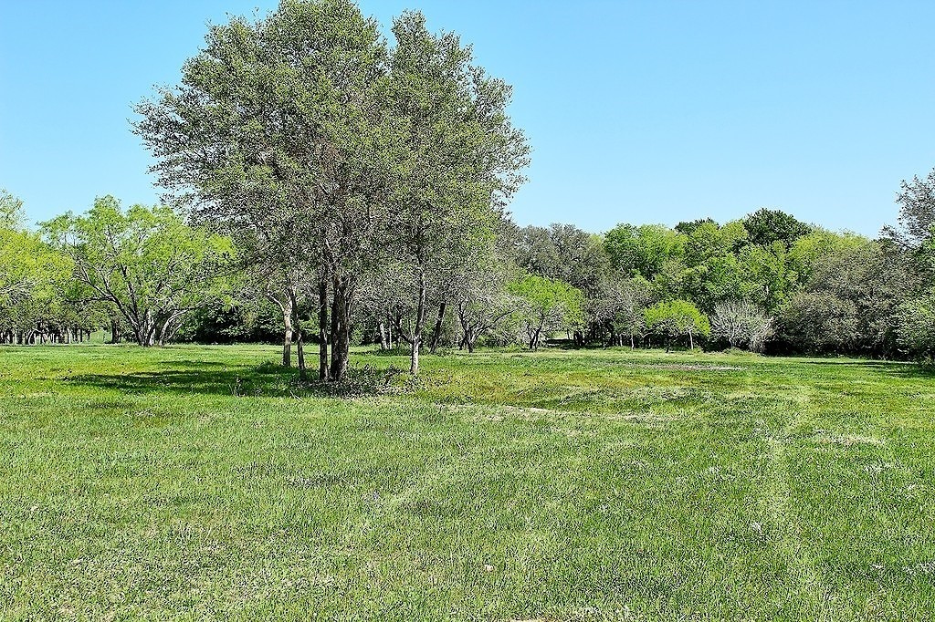 Tbd Scott Road Weimar, TX 78962 - Photo 6 of 16 a view of field with trees in the background