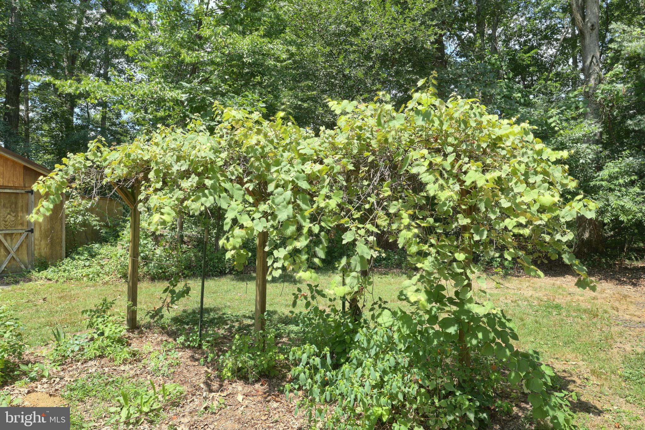 90 White Church Road York Springs, PA 17372 - Photo 23 of 31 a view of a yard