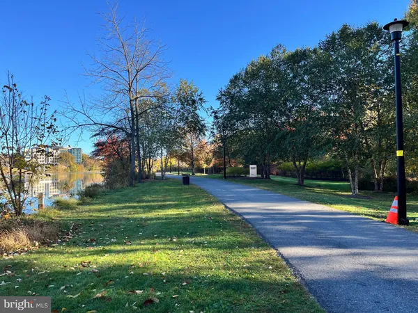 a view of a park with large trees