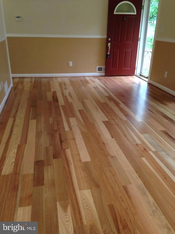 3817 Greenly Street Silver Spring, MD 20906 - Photo 5 of 26 Family Room