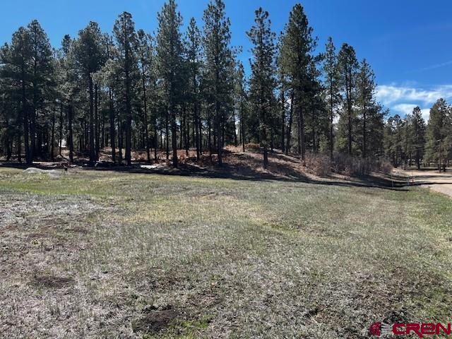 134 Elk Valley Road Bayfield, CO 81122 - Photo 1 of 23 Gallery Image 1