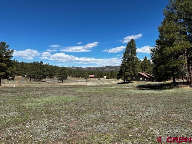 134 Elk Valley Road Bayfield, CO 81122 - Photo 3 of 23 Gallery Image 3