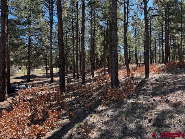 134 Elk Valley Road Bayfield, CO 81122 - Photo 9 of 23 Gallery Image 9
