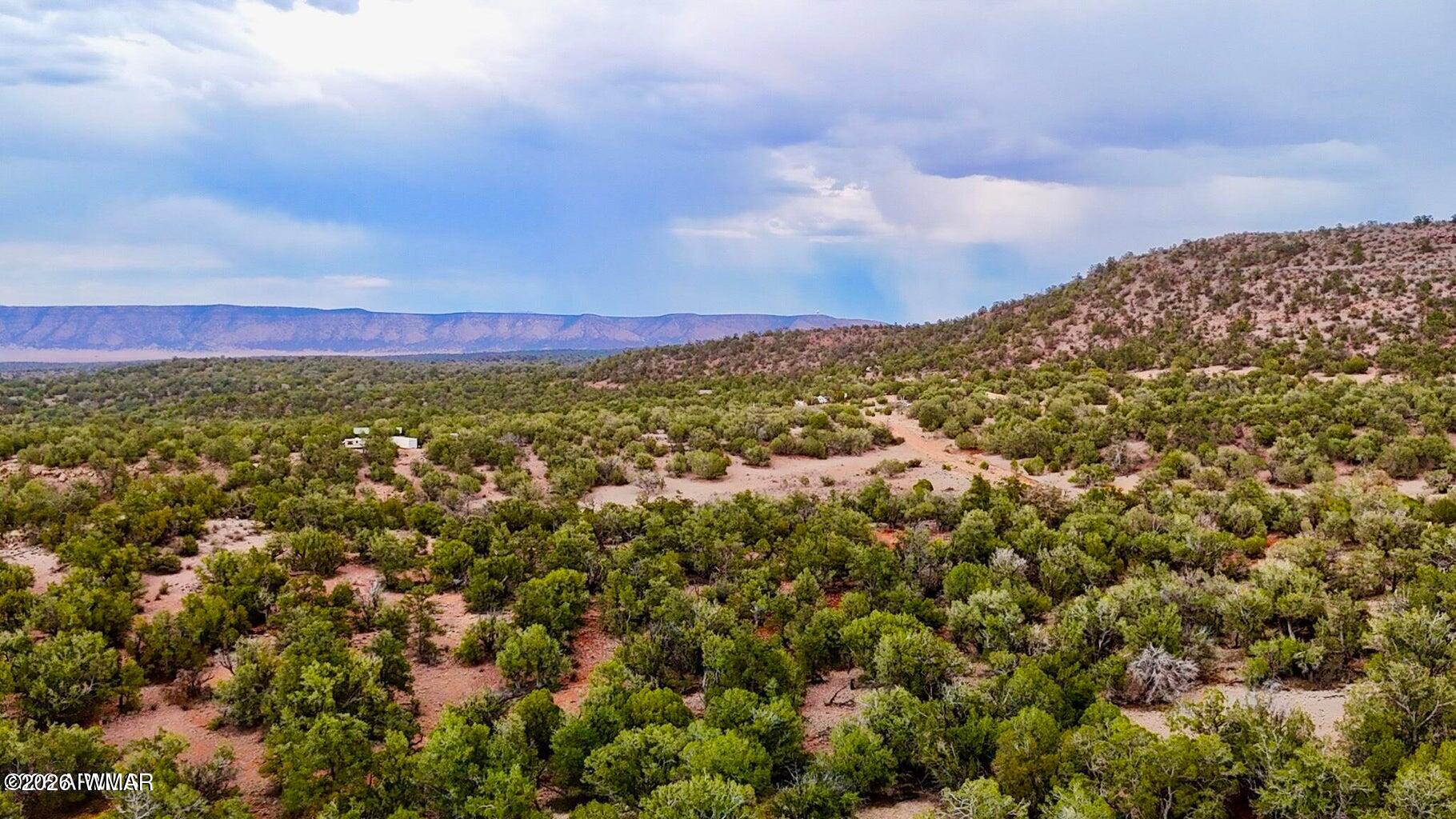 34962 West Hidalgo Road Seligman, AZ 86337 - Photo 25 of 28