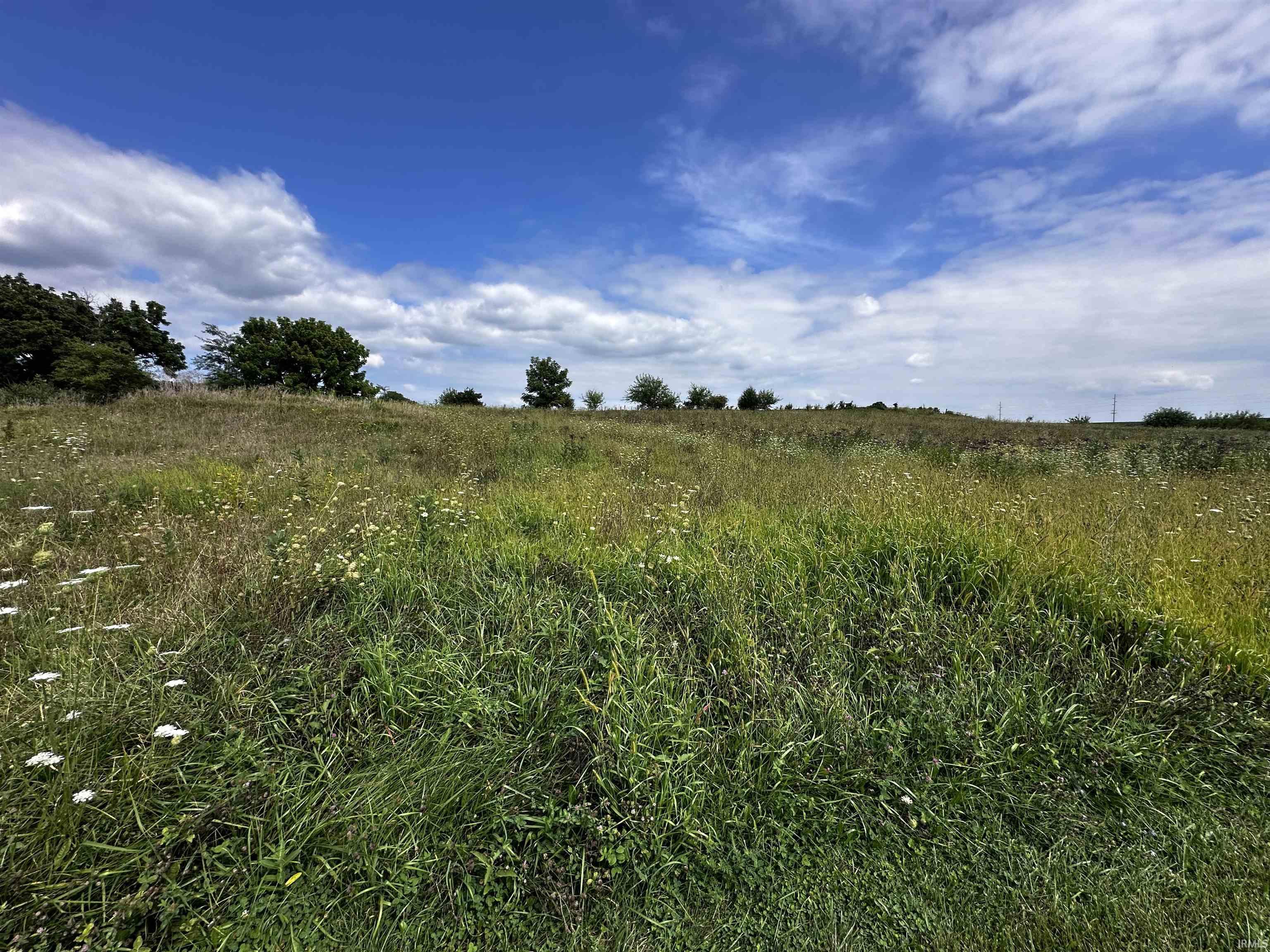 5891 Creek Ridge Road Walton, IN 46994 - Photo 9 of 14