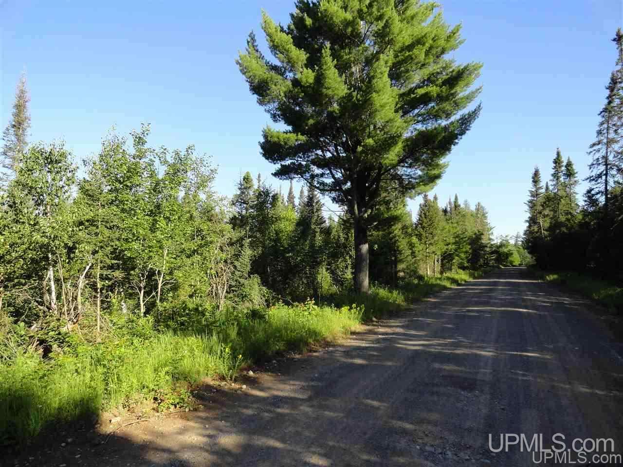 70-acres 70-acres Co Road Ishpeming, MI 49849 - Photo 1 of 7