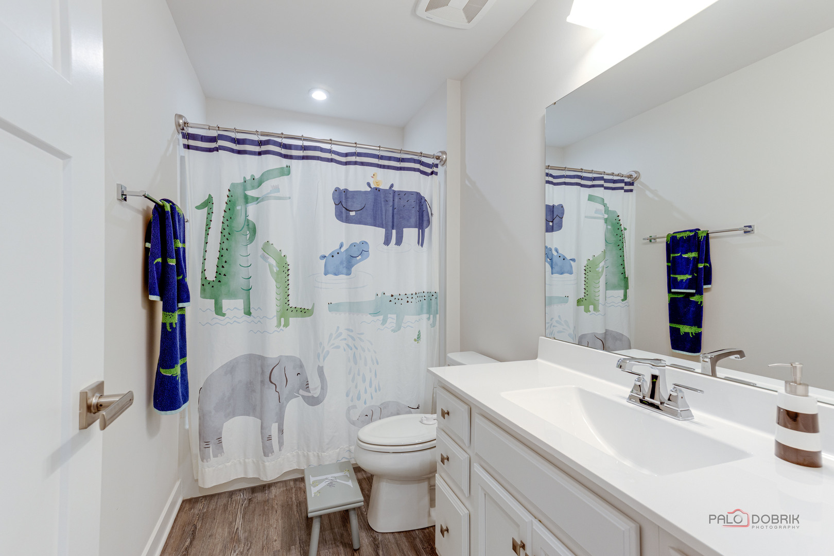 1799 Overview Circle Antioch, IL 60002 - Photo 27 of 38 a bathroom with a sink vanity mirror and toilet