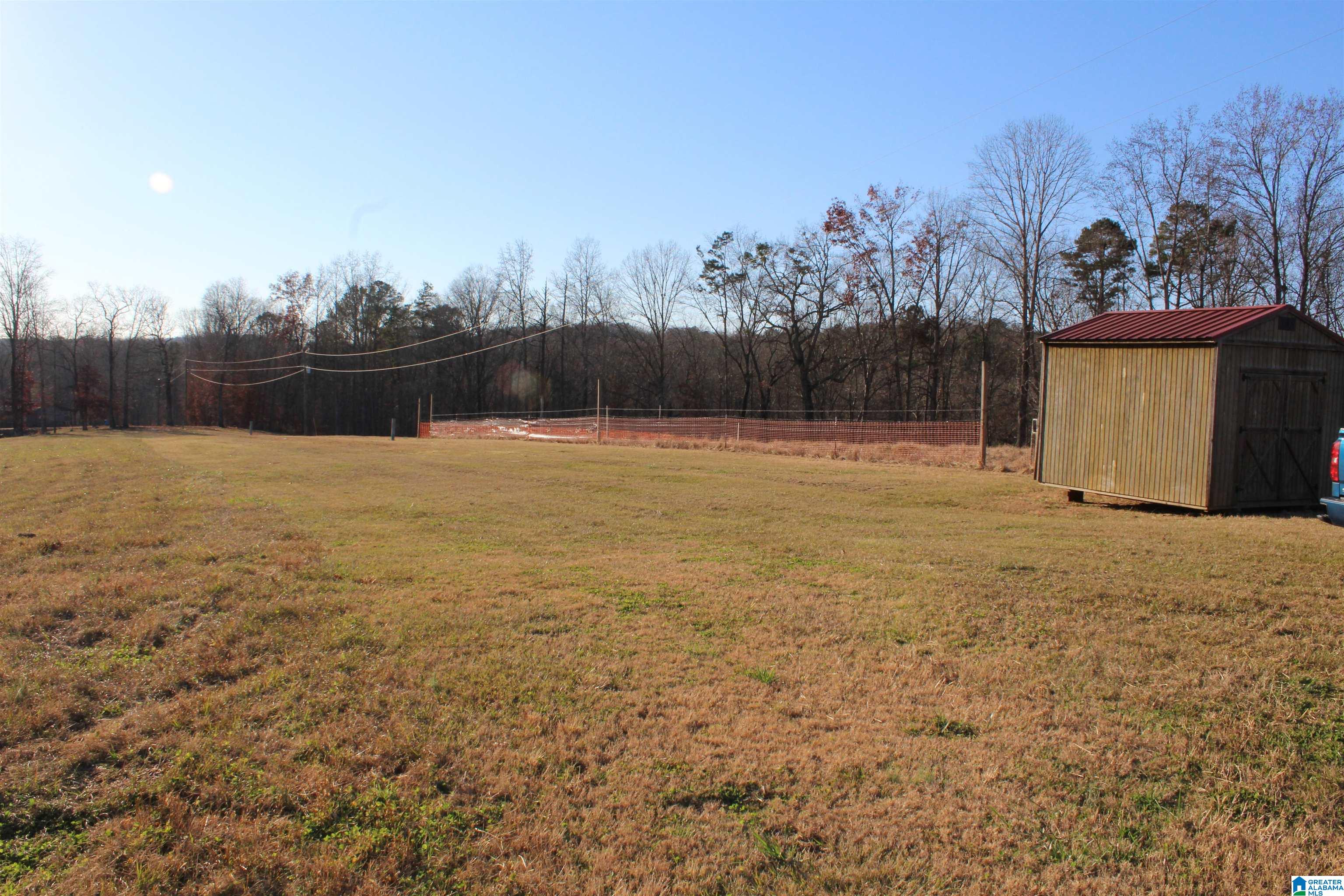 589 Morris Road Pell City, AL 35128 - Photo 22 of 29