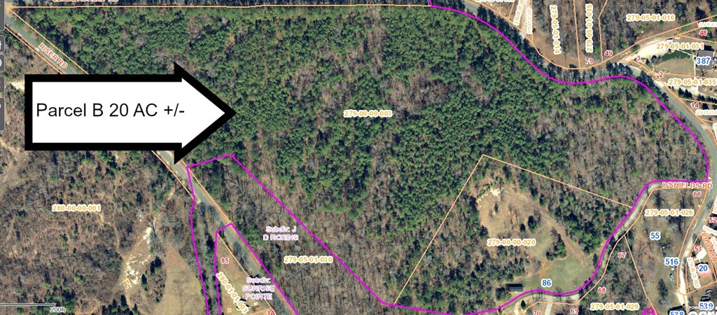 20-acres Riser Road Waterloo, SC 29384 - Photo 4 of 4