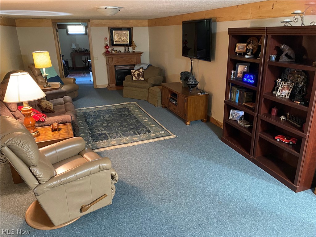 1225 Glecoe Road Southwest Dellroy, OH 44620 - Photo 18 of 33 Lower Level