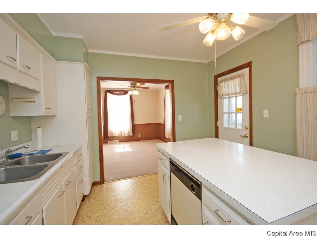 1103 North Walnut Street Springfield, IL 62702 - Photo 8 of 28