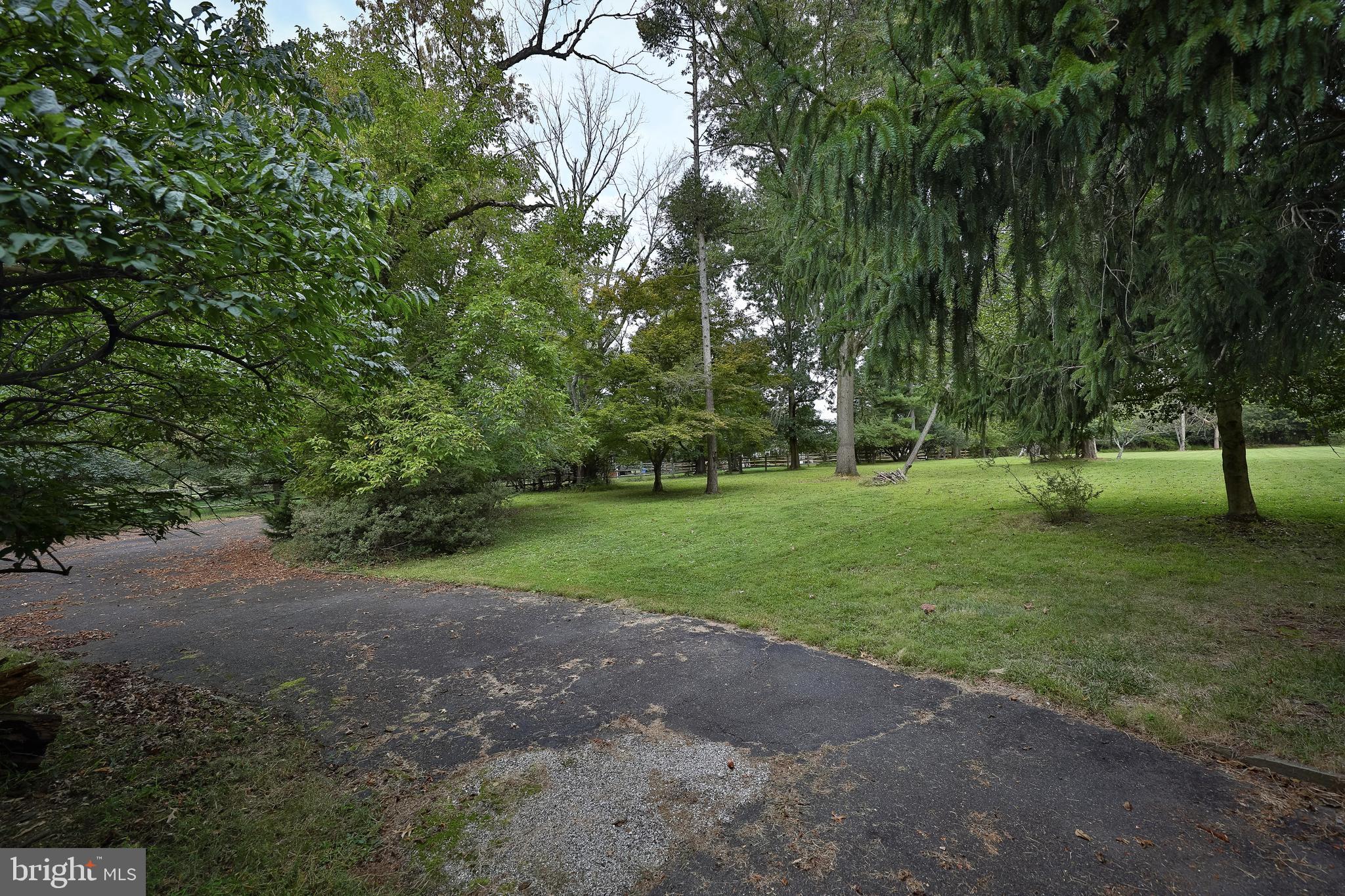 1013 Evans Road Ambler, PA 19002 - Photo 5 of 5 Driveway and curb cut available