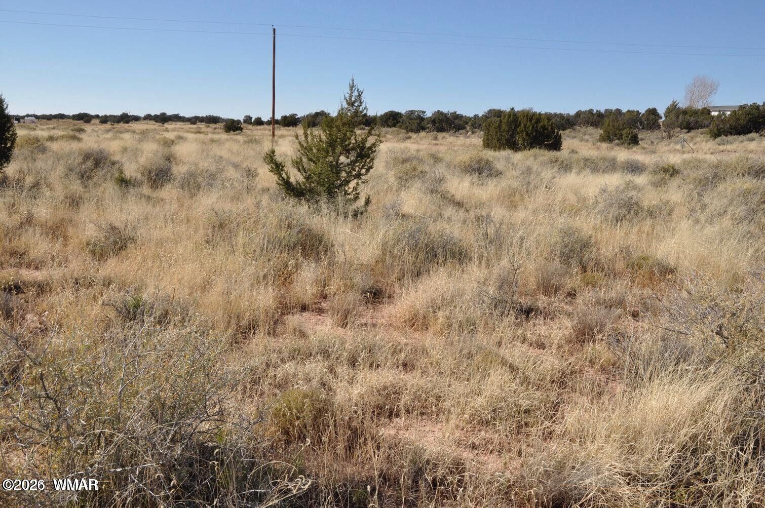 5039 Pima Road Snowflake, AZ 85937 - Photo 15 of 21 a view of a dry yard with trees