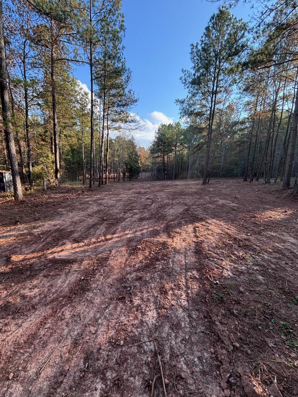 6982 Moontown Drive East Appling, GA 30802 - Photo 8 of 12 -1318965366359280401
