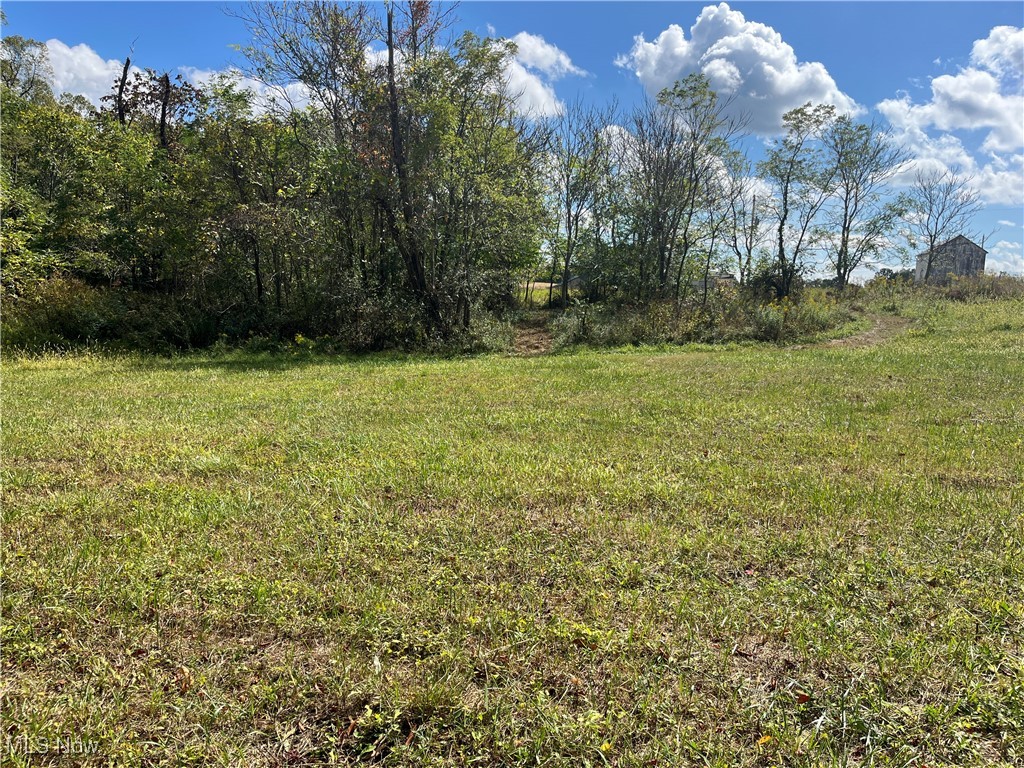 71330 Old Twenty One Road Kimbolton, OH 43749 - Photo 11 of 49
