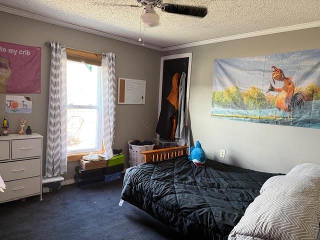 68 Daffodil Hill Lane Rochester, NH 03868 - Photo 27 of 51