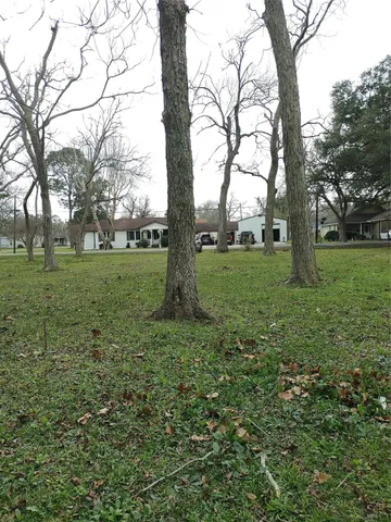 a view of a garden with large trees