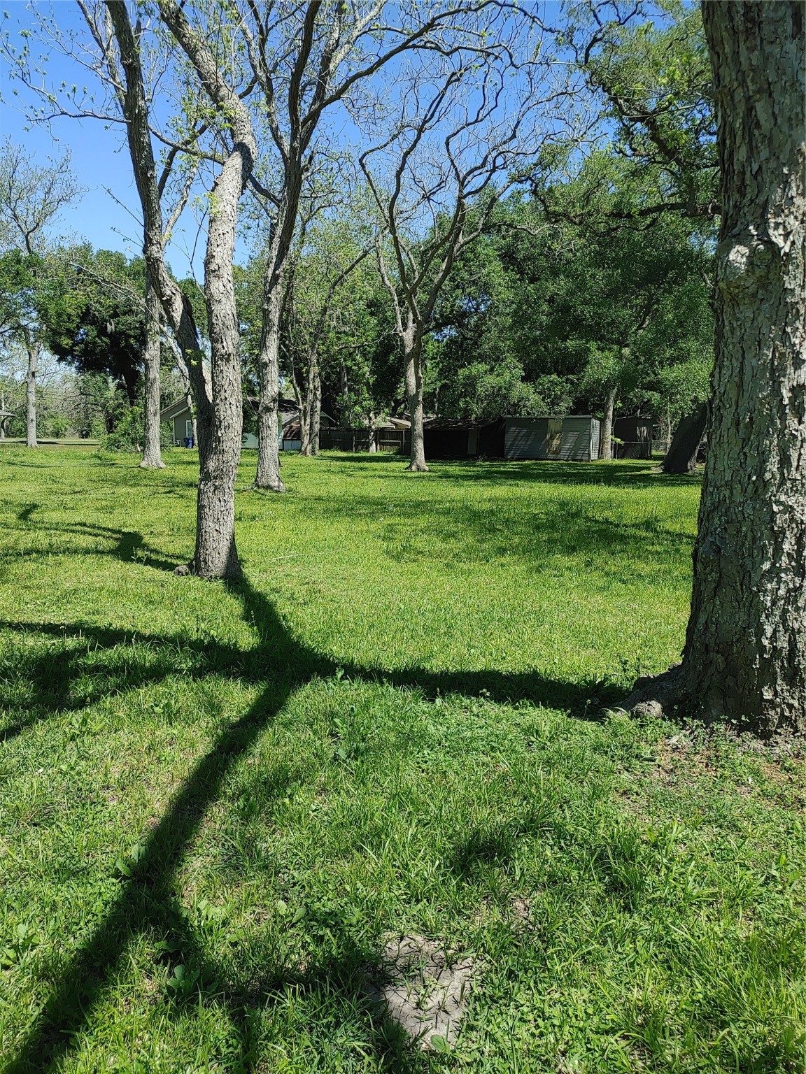 0 South Hackberry Street Sweeny, TX 77480 - Photo 3 of 6 a view of a park with large trees