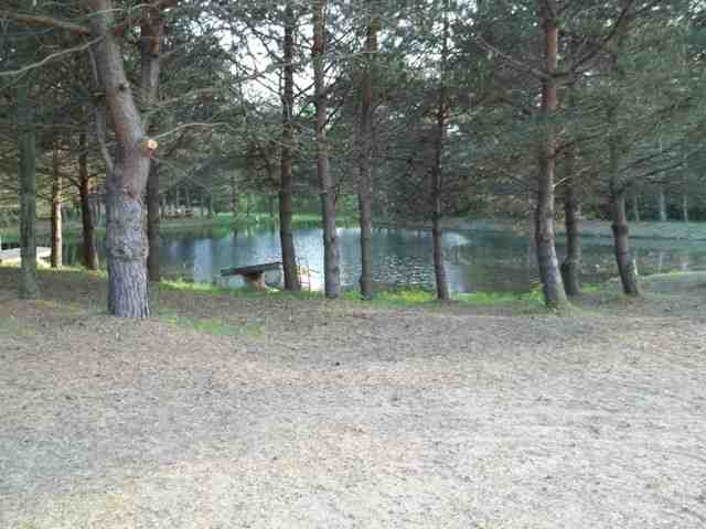 4286 Mortimer Line Road Croswell, MI 48422 - Photo 4 of 25 31096196-3.JPG