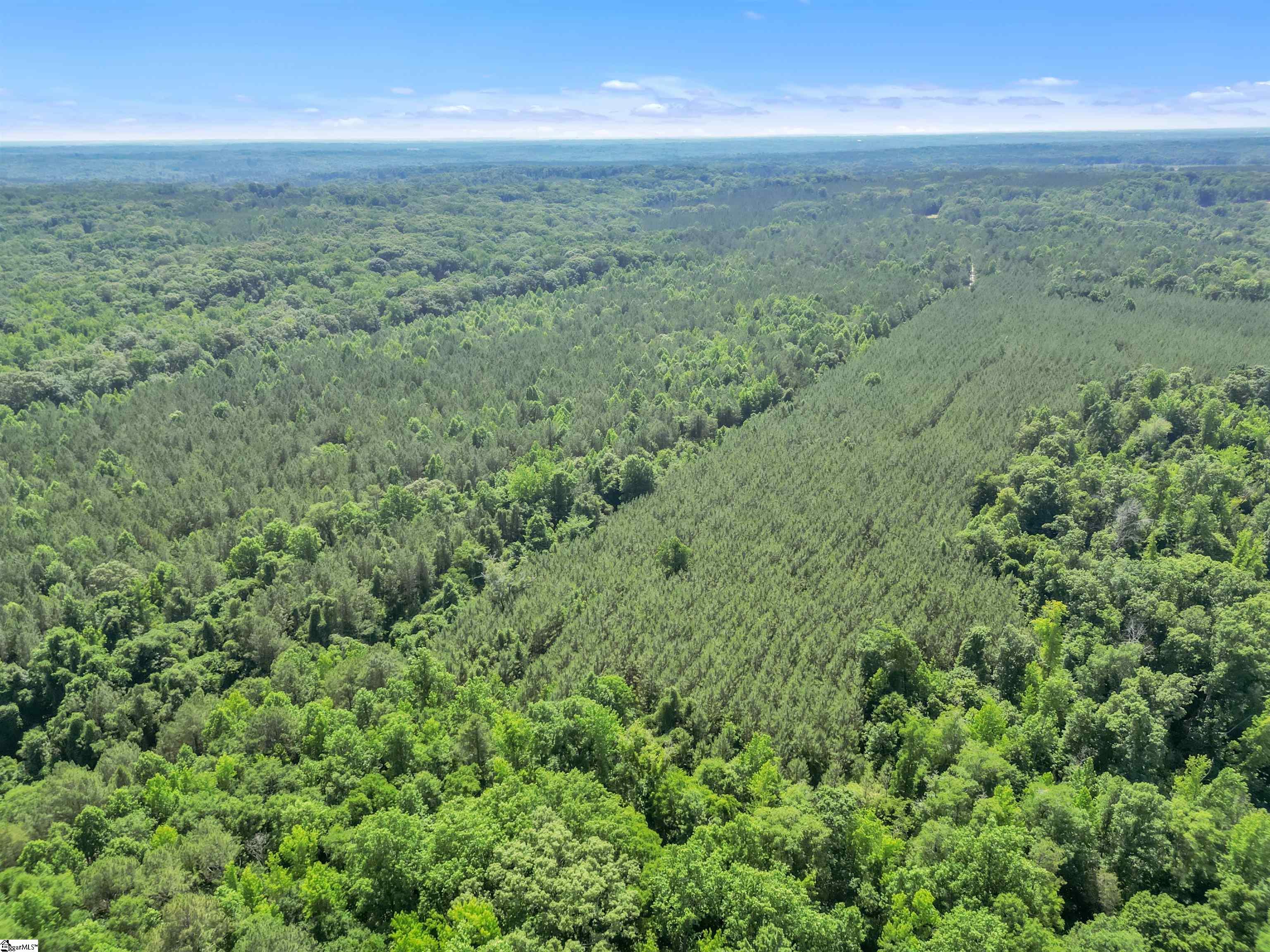0 Simpson Mill Road Laurens, SC 29360 - Photo 11 of 20