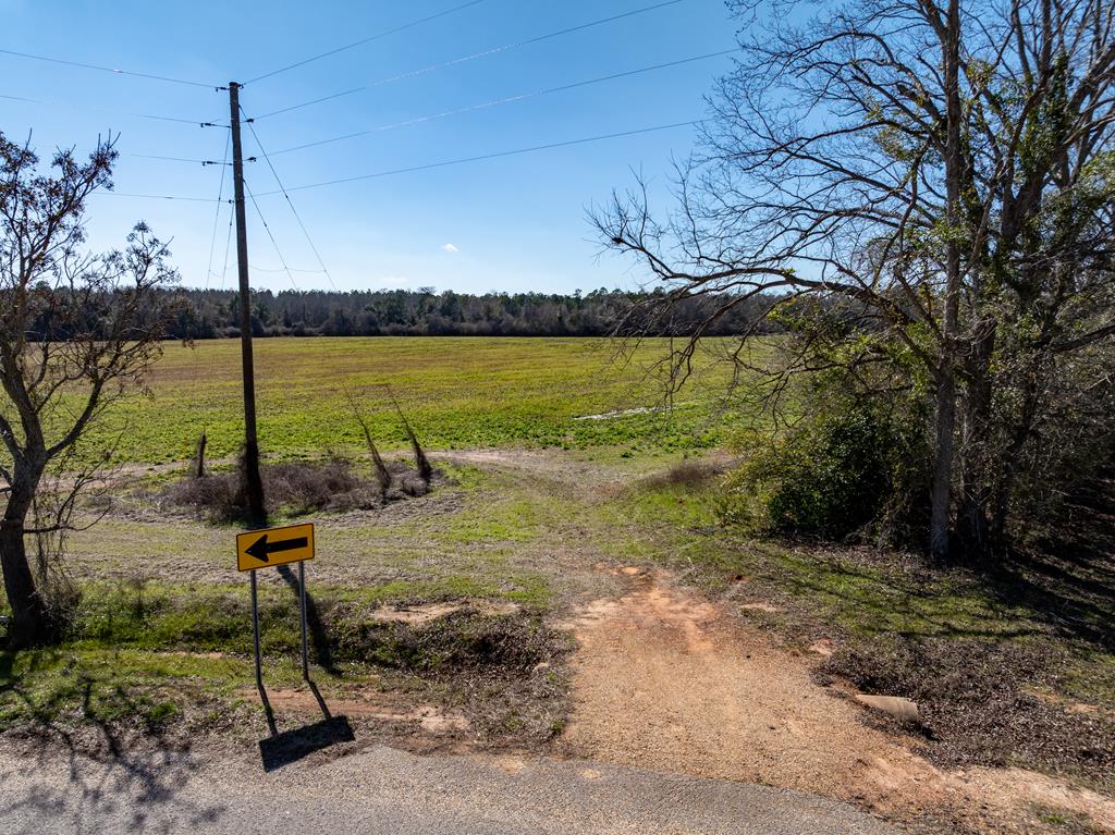 31.5-ac 31.5-ac Rammer Loop Road Dothan, AL 36301 - Photo 6 of 49