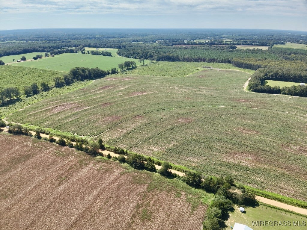 0 Shiver Road Dothan, AL 36301 - Photo 14 of 14 Gallery Image 14