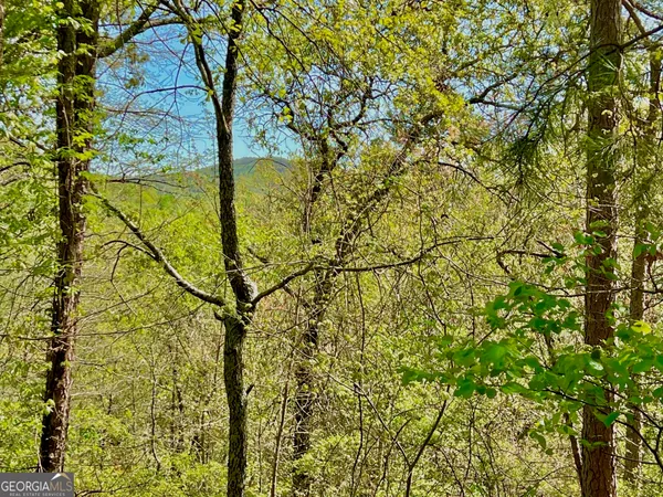 $25,000 | 691 Railey Ridge, Ranger, GA 30734