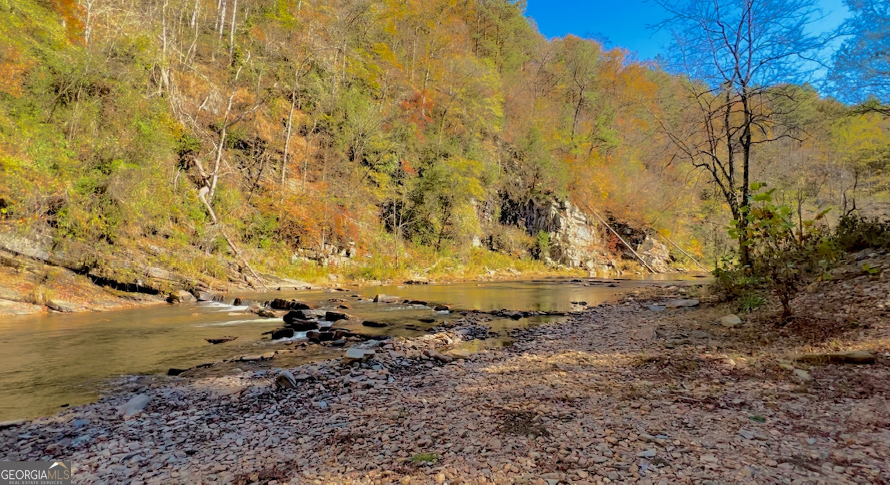 691 Railey Ridge Ranger, GA 30734 - Photo 11 of 27