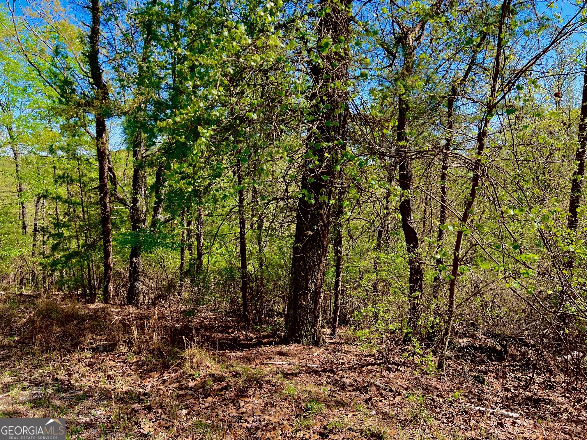 691 Railey Ridge Ranger, GA 30734 - Photo 18 of 27