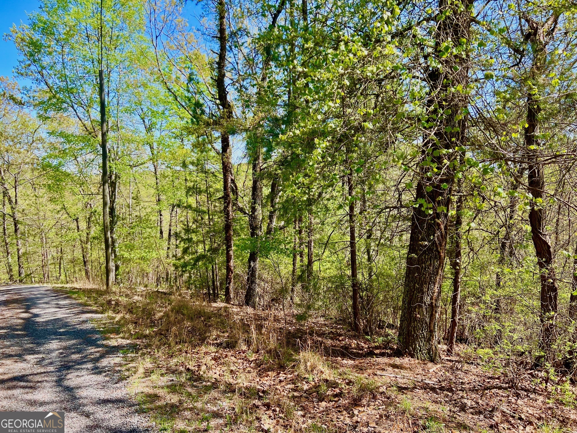 691 Railey Ridge Ranger, GA 30734 - Photo 19 of 27