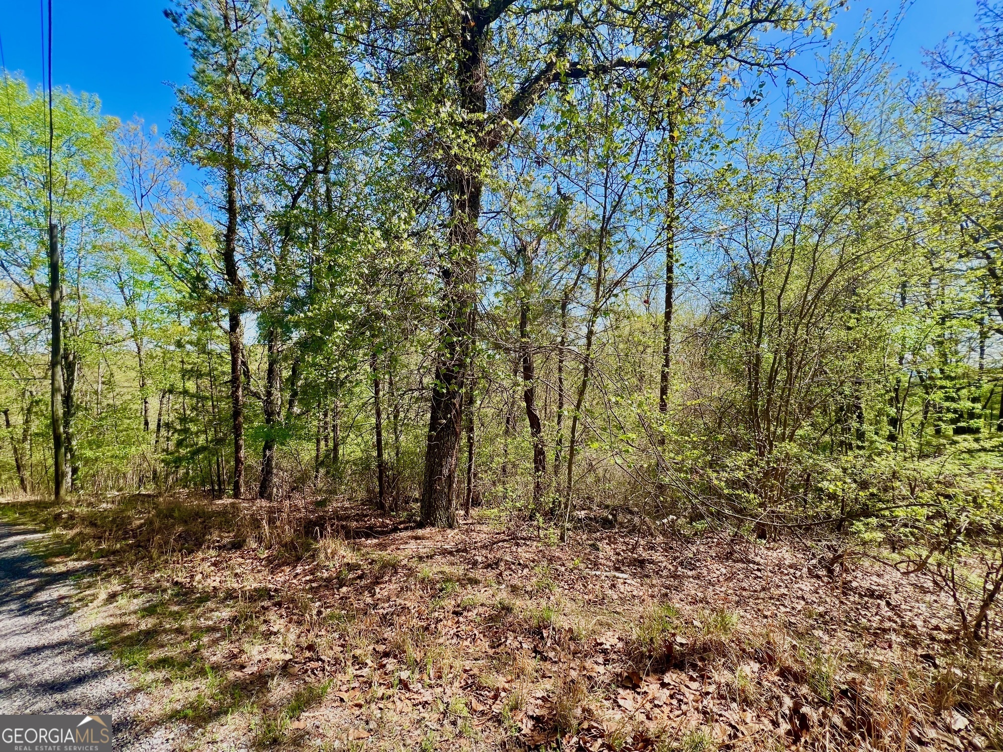 691 Railey Ridge Ranger, GA 30734 - Photo 20 of 27